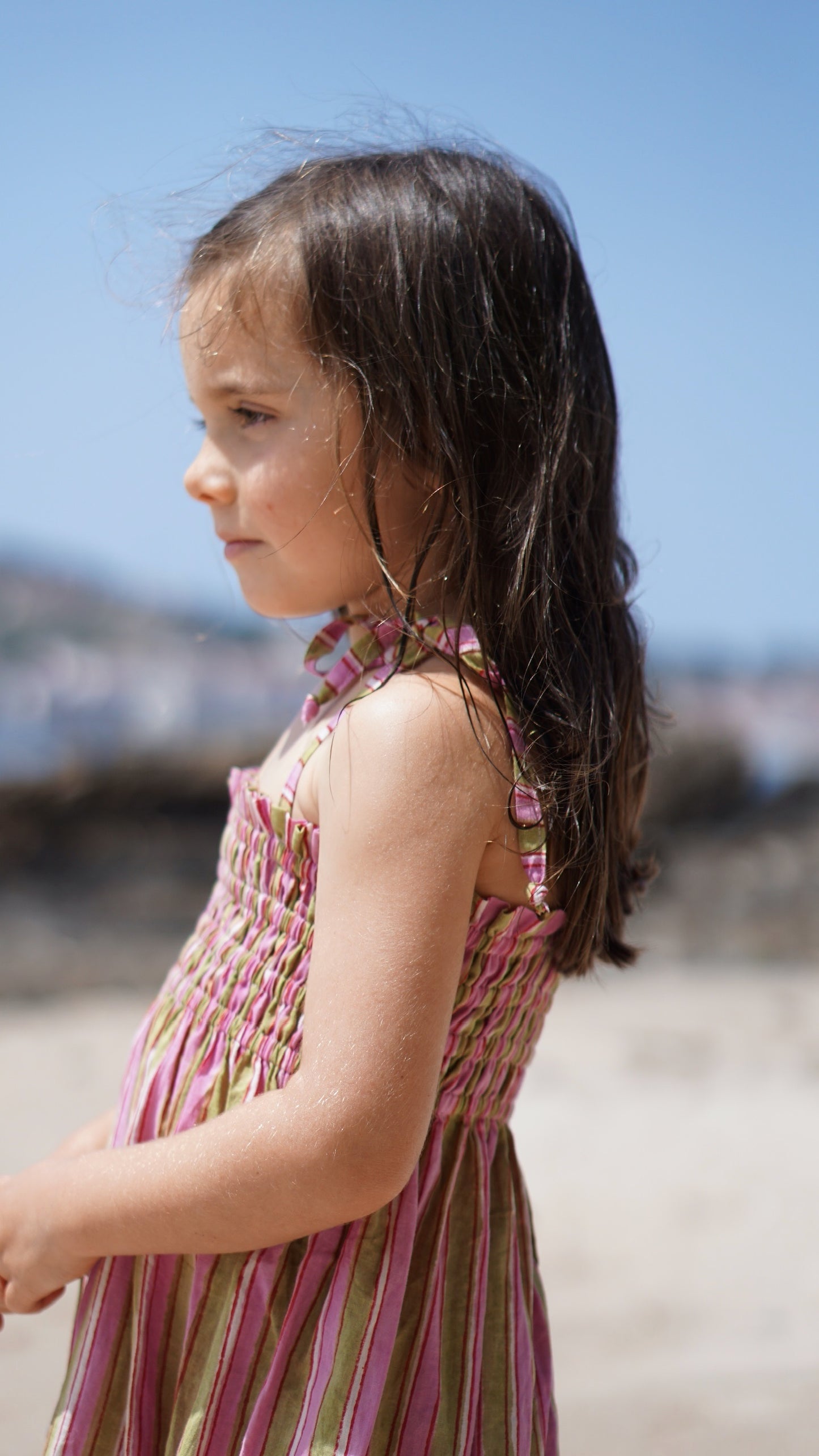 Leblon Dress