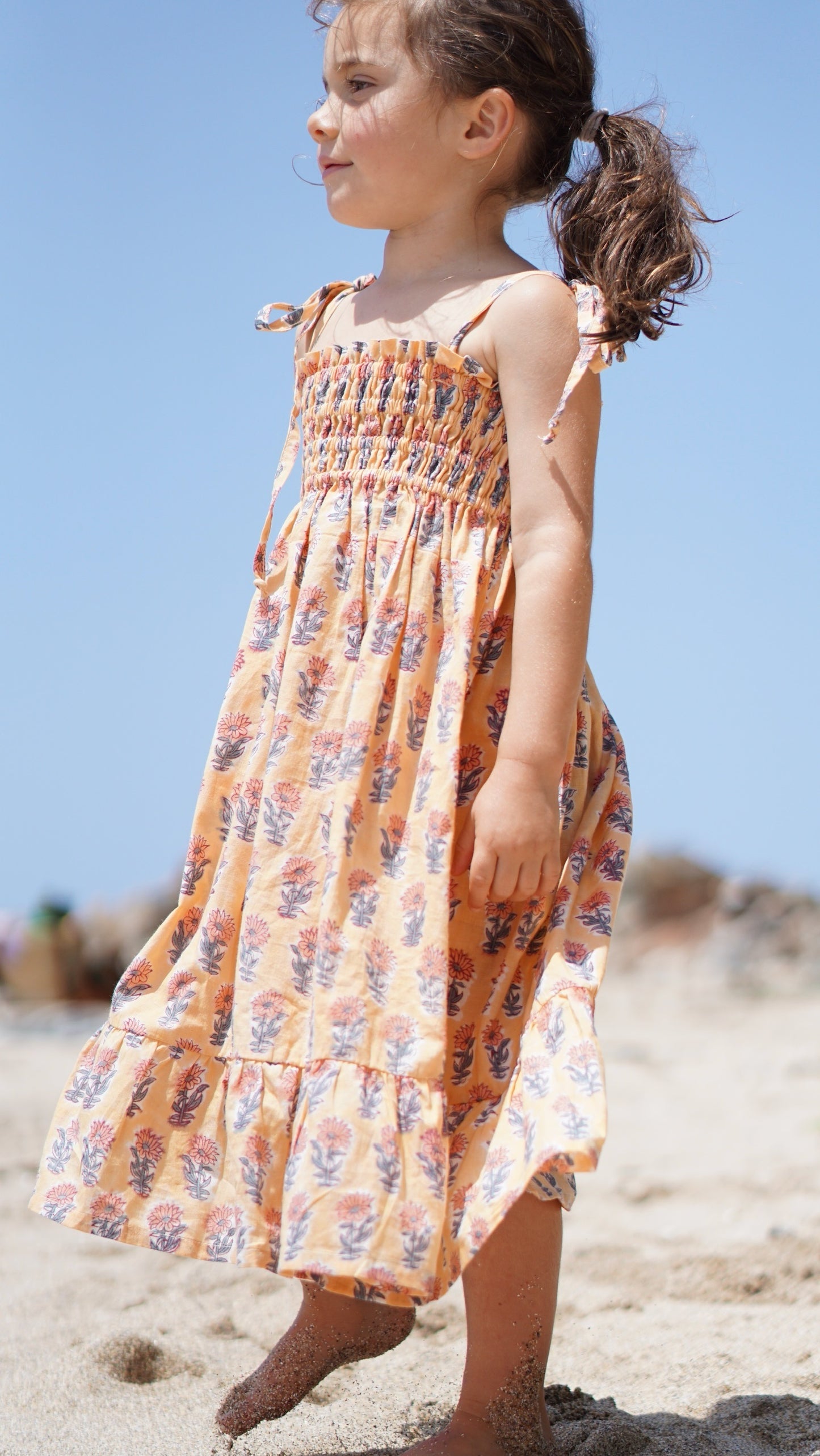 Leblon Dress