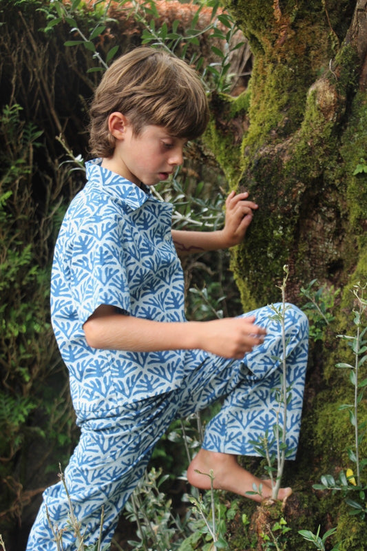 Salvora Pants